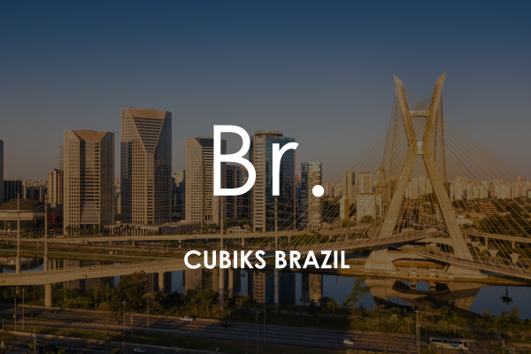 Brazil Skyline Brazil Skyline